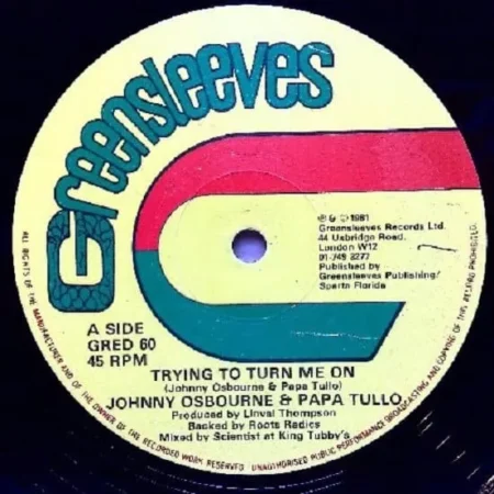 try-to-turn-me-on-riddim