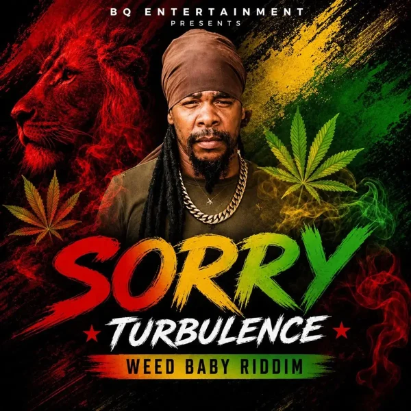 Turbulence - Sorry Turbulence - Sorry