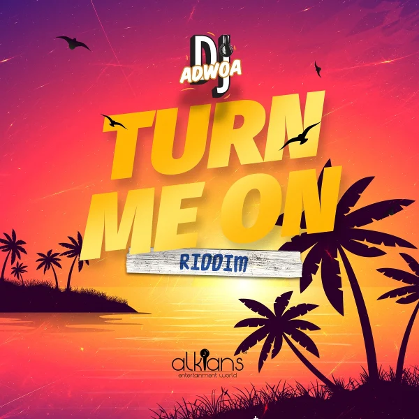 Turn Me On Riddim - Alkians Entertainment World