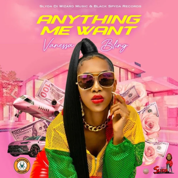 Vanessa Bling - Anything Me Want