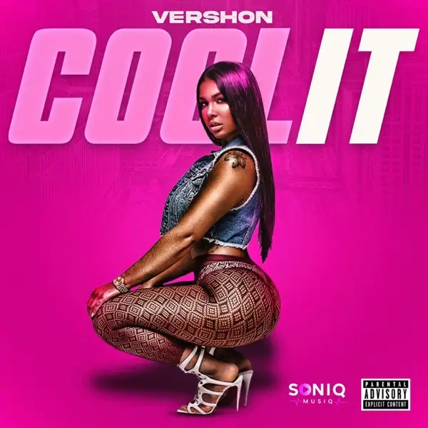 vershon - cool it