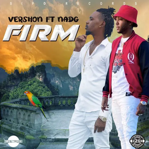 vershon - firm