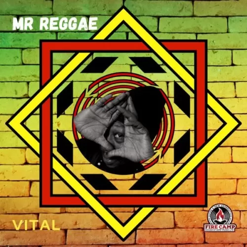 vital - mr reggae