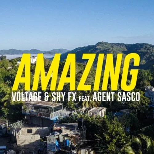 voltage and shy fx - amazing (feat. agent sasco)