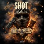 Vybrid – Shot