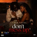 Vybz Kartel – Don’t Mess Up