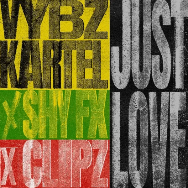 Vybz Kartel - Just Love