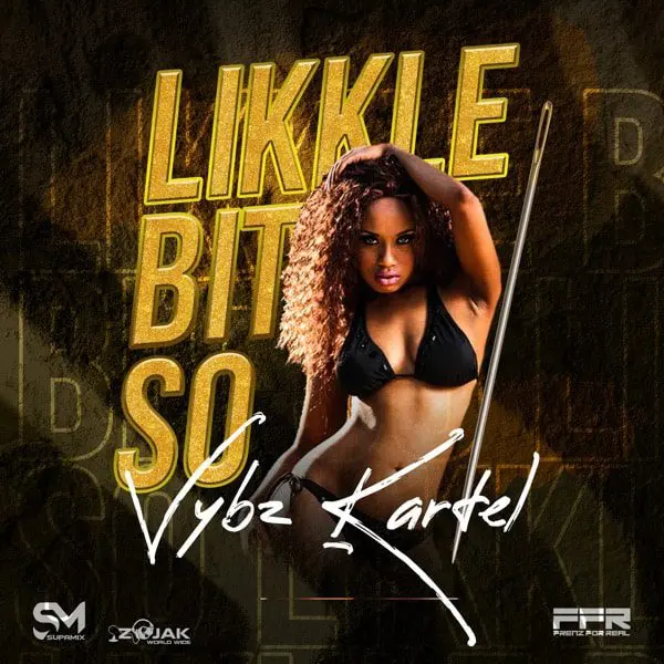 vybz kartel â€“ likkle bit so