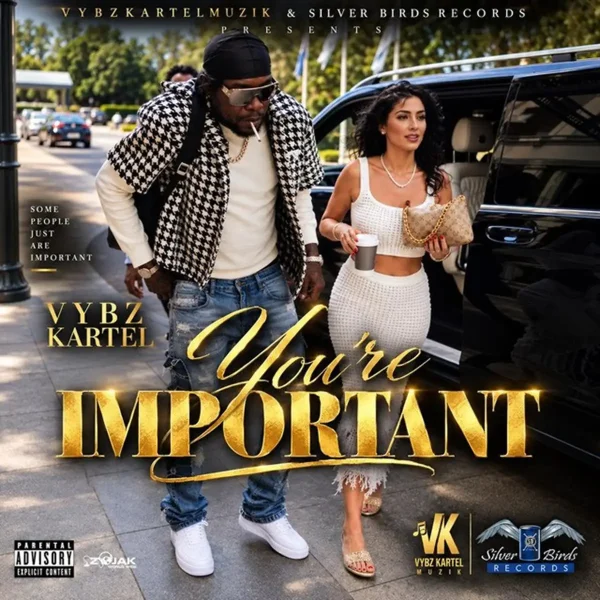 Vybz Kartel - You're Important