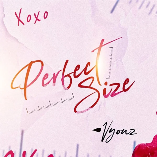 Vyouz - Perfect Size