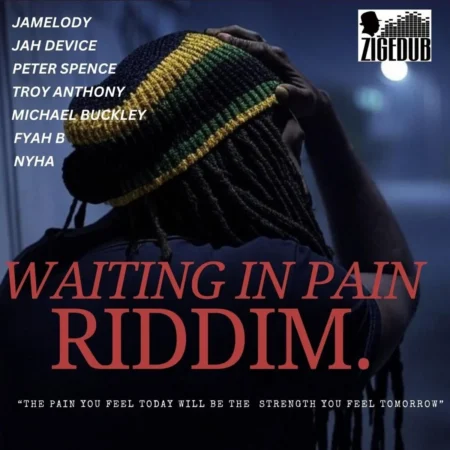 Waiting In Pain Riddim - Zigedub Productions