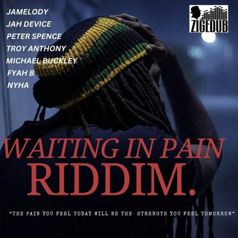 Waiting In Pain Riddim – ZigeDub Productions Waiting In Pain Riddim - Zigedub Productions