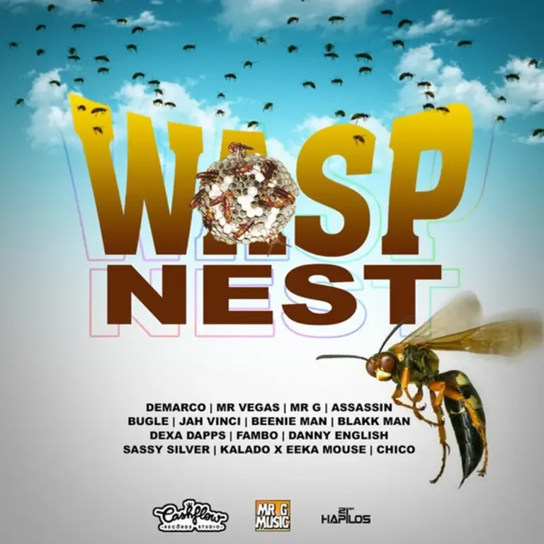 Wasp Nest Riddim - Mr G Music