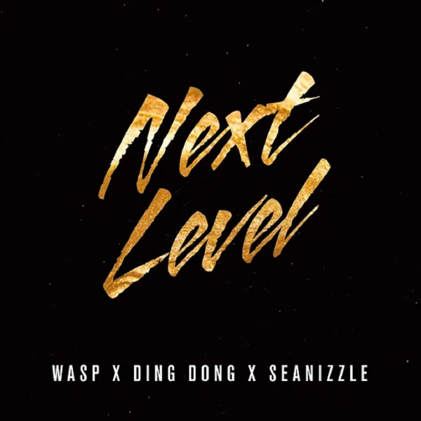 Wasp X Ding Dong X Seanizzle - Next Level