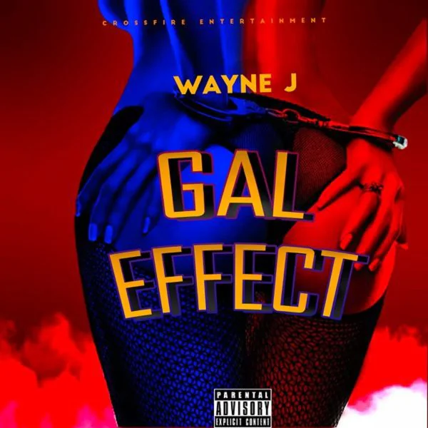 wayne j - gal effect