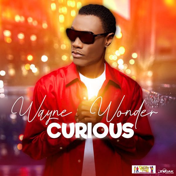 wayne-wonder-curious