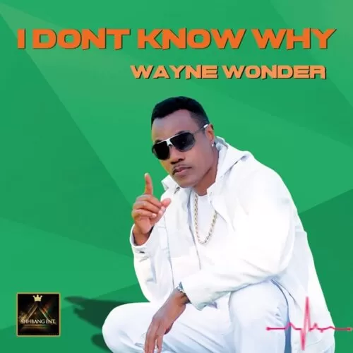 wayne wonder - i don't know why