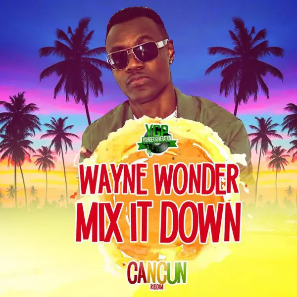 wayne wonder - mix it down
