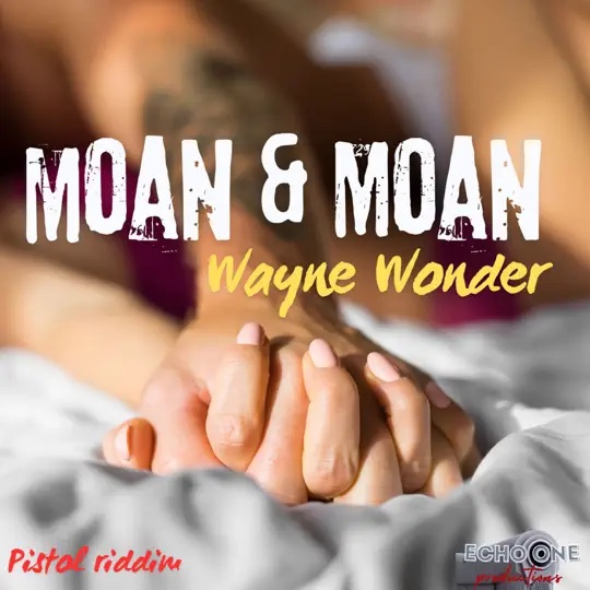 Wayne Wonder - Moan & Moan