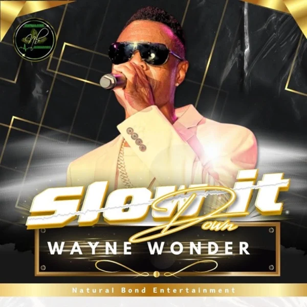 Wayne Wonder - Slow It Down