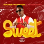 Wayne Wonder – Sweet