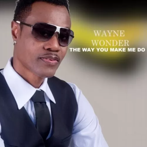 wayne wonder - the way you make me do