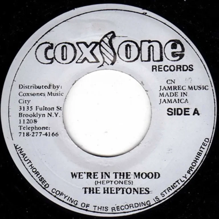 We Are In The Mood Riddim - Various Labels