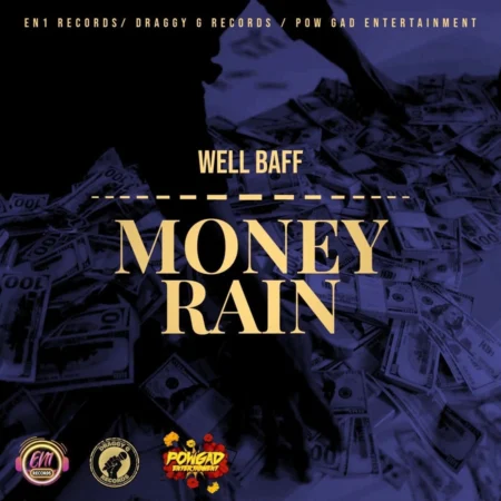 Wellbaff - Money Rain