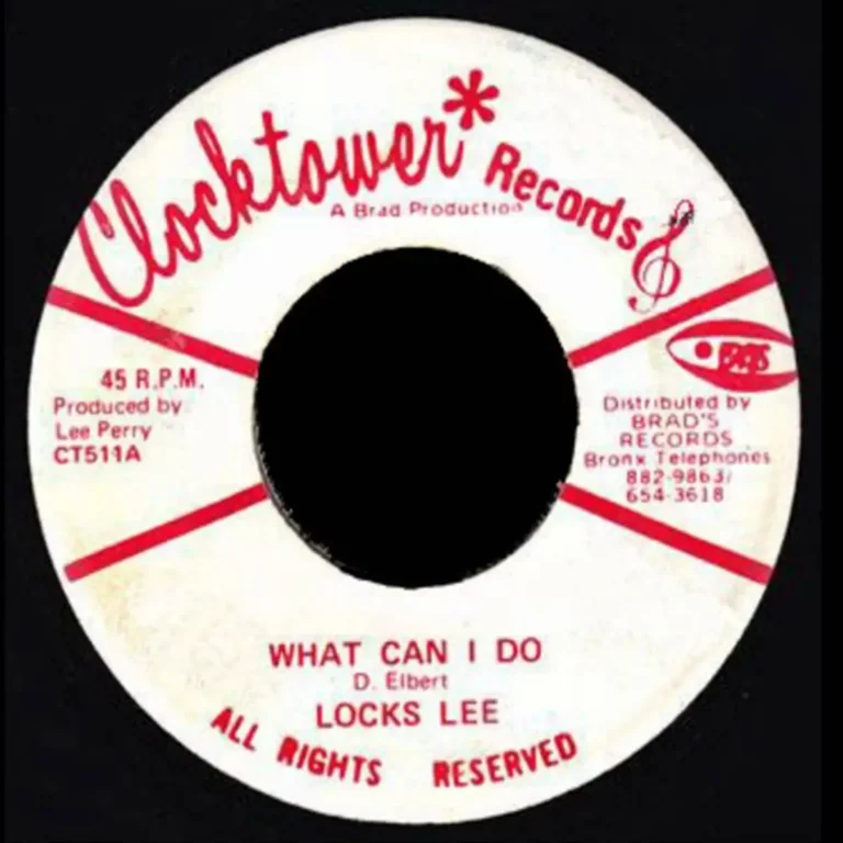 What Can I Do Riddim - Unknown Label