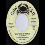 What Kind Of World Riddim – Various Labels