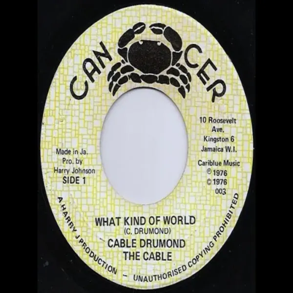 What Kind Of World Riddim - Various Labels What Kind Of World Riddim - Various Labels