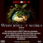 What Kind Of World Riddim – Livan Muziq