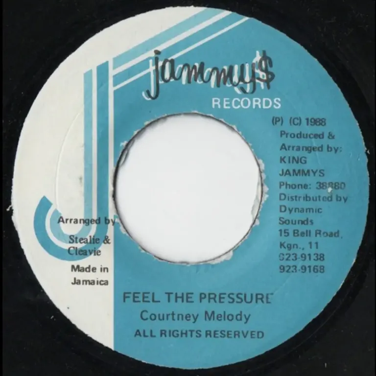 Who She Love Riddim - Various Labels