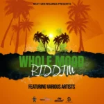 Whole Mood Riddim – Next Gen Records