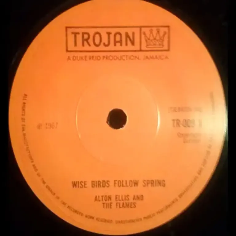 Why Birds Follow Spring Riddim - Various Labels