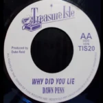 Why Did You Lie Riddim – Discolite