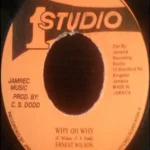 Why Oh Why Riddim – Various Labels