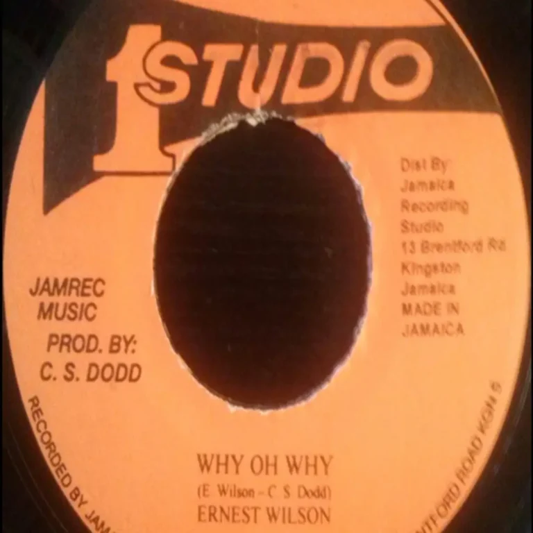 Why Oh Why Riddim - Various Labels