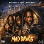 Wild Bwoy x Lil Chappa x Malloy Mookie – Mad Dawgs