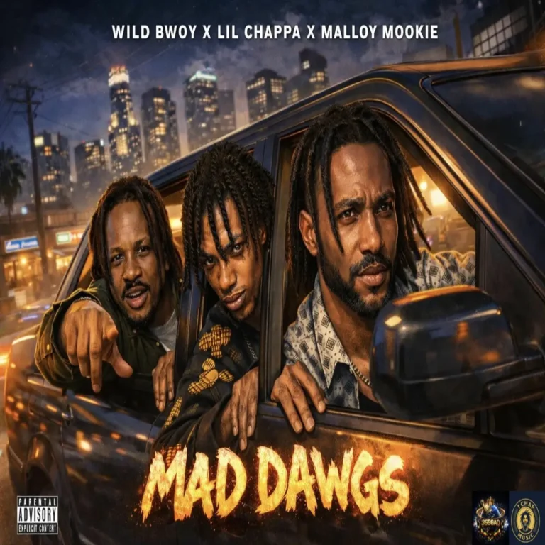 Wild Bwoy X Lil Chappa X Malloy Mookie - Mad Dawgs