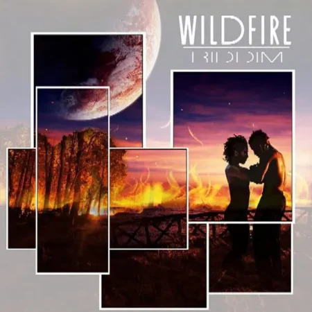 Wildfire Riddim – Stingray Records Wildfire Riddim - Stingray Records