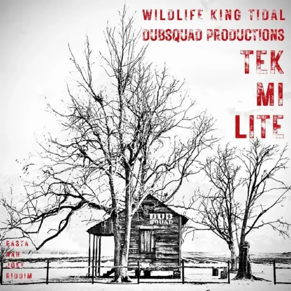 Wildlife, King Tidal & Dubsquad Productions - Tek Mi Lite