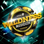 Wildness Riddim – Precision Productions