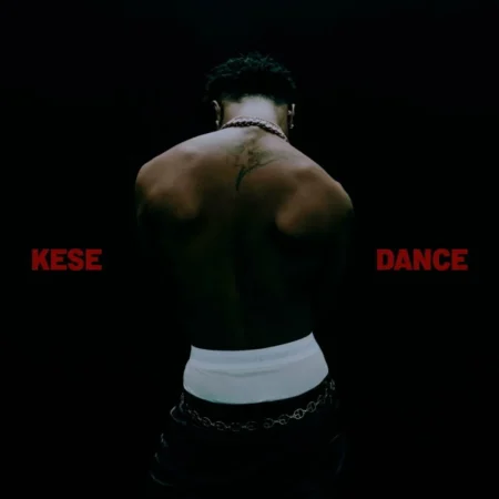 Wizkid - Kese (dance)