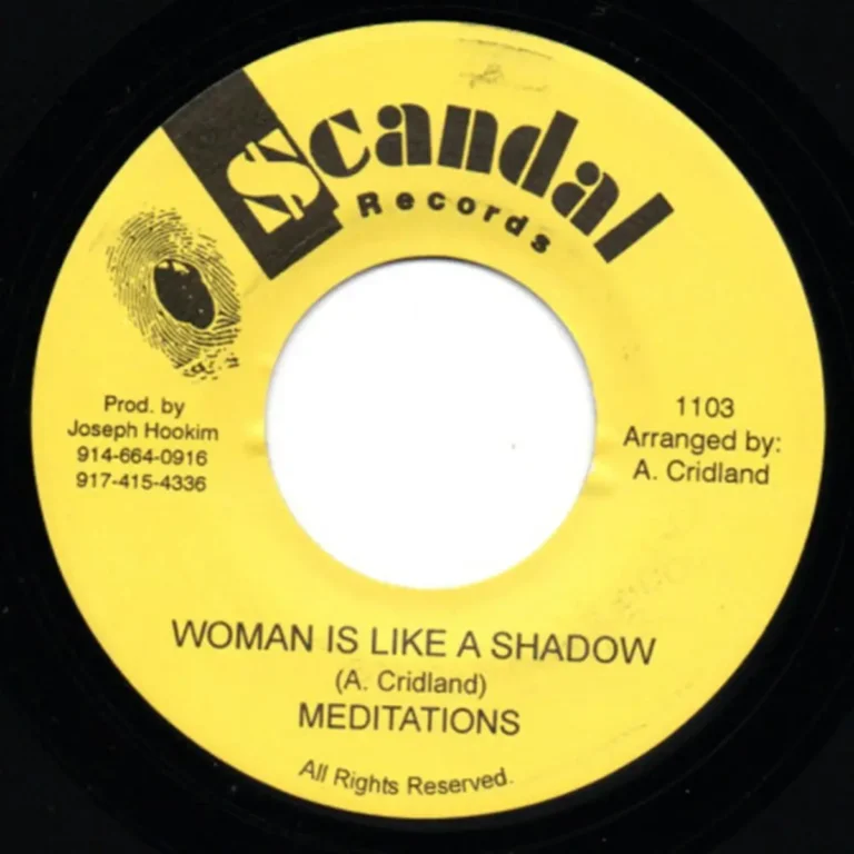 Woman Is Like A Shadow Riddim - Various Labels