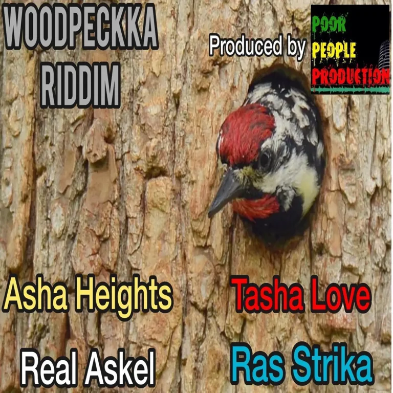 Woodpeckka Riddim - Poor People Production