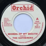 Words Of My Mouth Riddim – Zola, African Star
