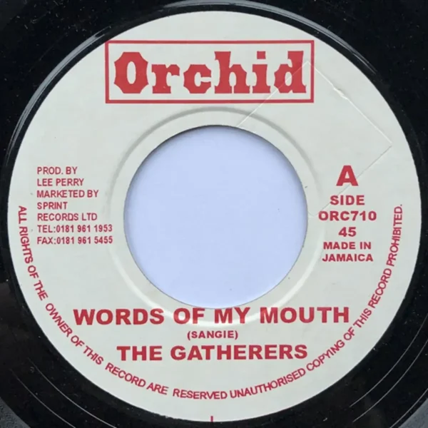 Words Of My Mouth Riddim - Zola, African Star