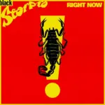 You Should Have Known / Right Now Riddim – Black Scorpio
