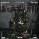 Young Star 6ixx – Brawling